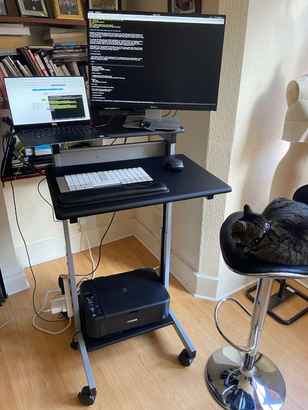 A minimalist affordable remote desk setup